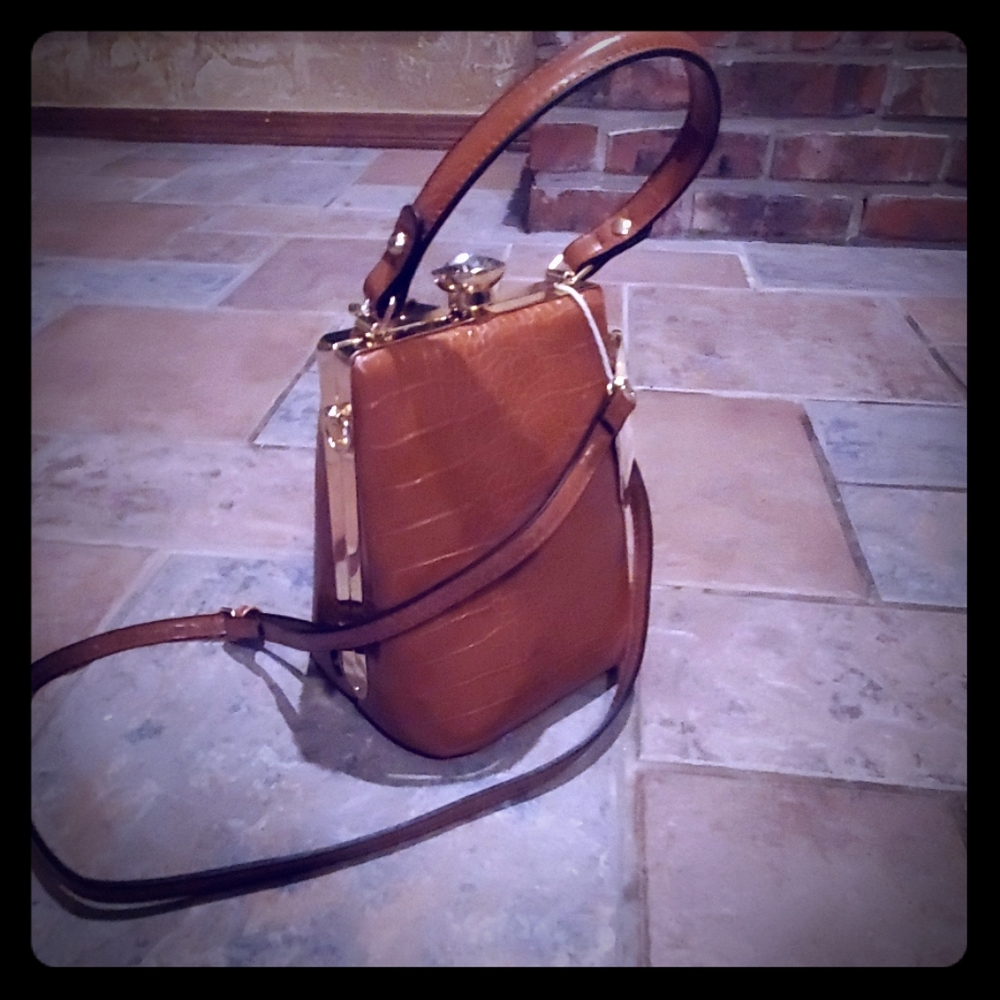Alyssa Croc Frame purse
